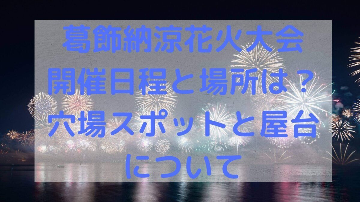 びわ湖花火大会 チケット 2名分 琵琶湖大花火大会 琵琶湖花火大会